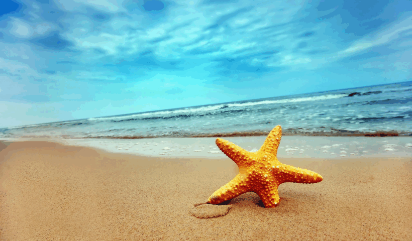 The Starfish Story