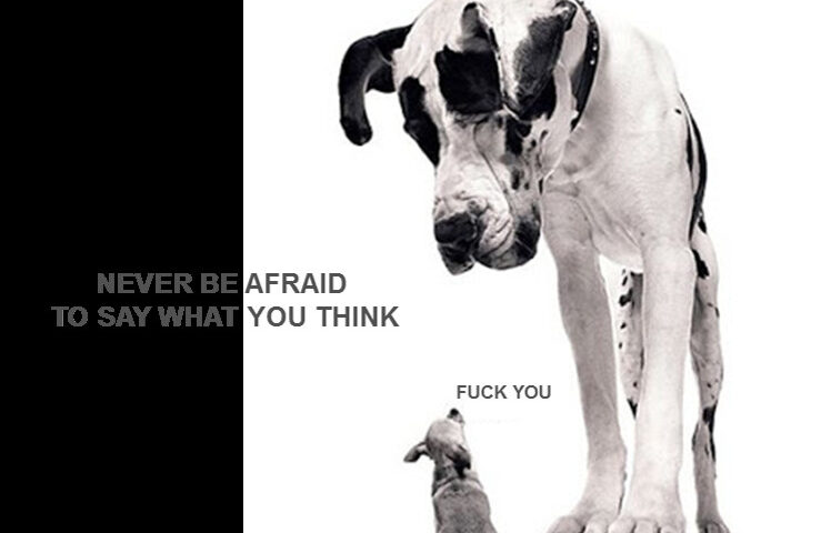 ကြောက်မနေပါနဲ့