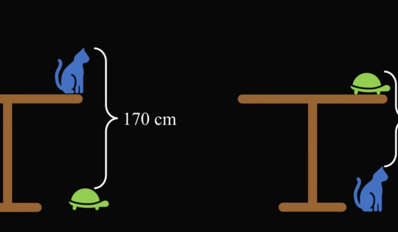 စားပွဲ အမြင့် ?